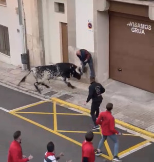 Un home de 82 anys és envestit a la plaça de baix pel segon bou de vesprada de diumenge