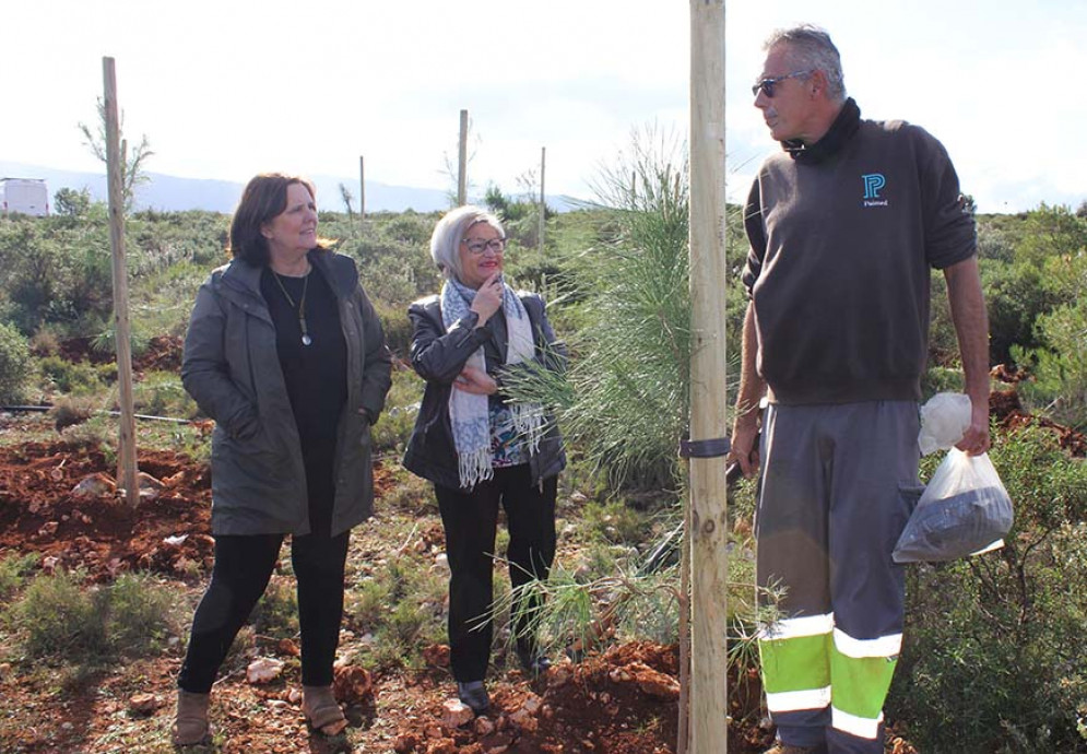 L’Ajuntament inicia la plantació de 400 arbres i arbustos a la serra del Torrater en compliment d’una demanda de “Ontinyent Participa 2021”