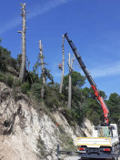 Es retiren 4 pins amb prop de 30 tones de pes en risc de caiguda sobre el camí de la Puríssima