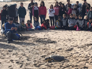 Escolars d’Ontinyent participen de la solta d’una tortuga recuperada per l’Arca del Mar de la Fundació Oceanogràfic