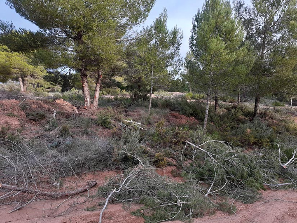 Ontinyent executarà treballs per minimitzar el risc d’incendi a la zona forestal de Fuset