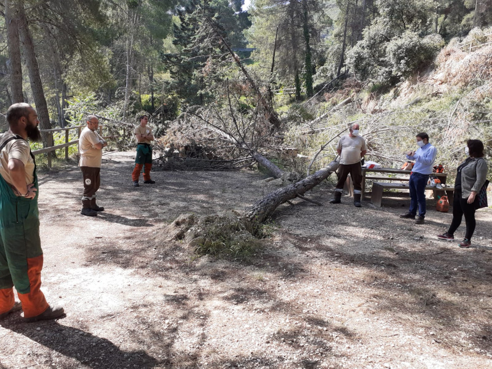 Sayo Gandia i Joan Sanchis visiten les obres de neteja forestal a la zona de Galindo