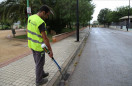 Ontinyent intensifica la lluita contra el mosquit tigre davant la seua proliferació després la DANA