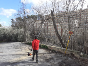 Ontinyent realitza tasques de prevenció d’incendis forestals i millora de l’entorn amb la brigada “Emerge”